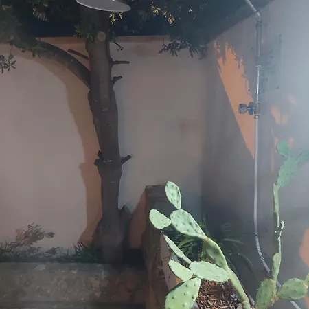 Ischia 玛丽娜迪曼卡维萨